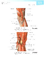 Sobotta  Atlas of Human Anatomy  Trunk, Viscera,Lower Limb Volume2 2006, page 330